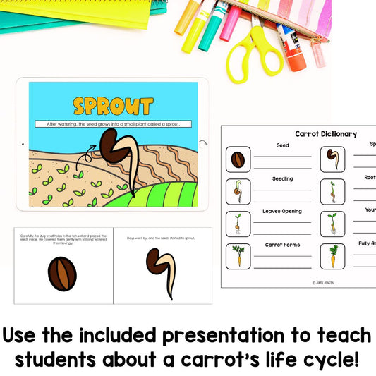 Carrot Life Cycle | Fun Science Activities