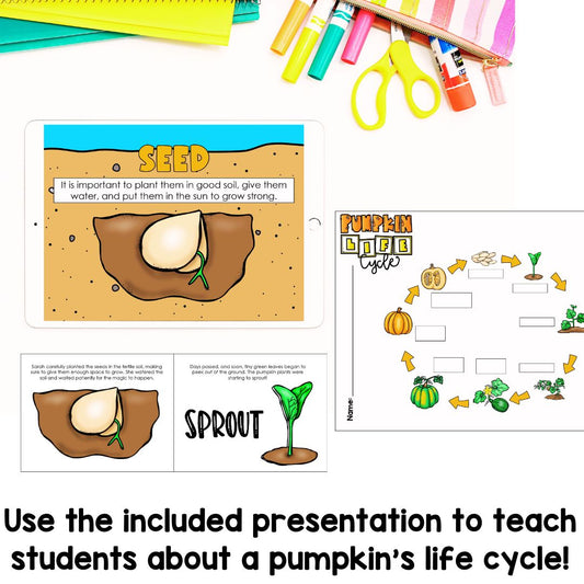 Pumpkin Life Cycle | Fun Science Activities