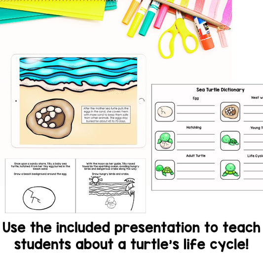 Sea Turtle Life Cycle | Fun Science Activities