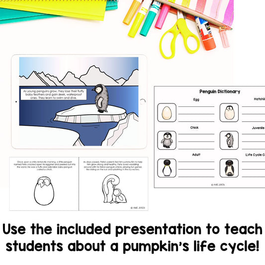 Penguin Life Cycle | Fun Science Activities