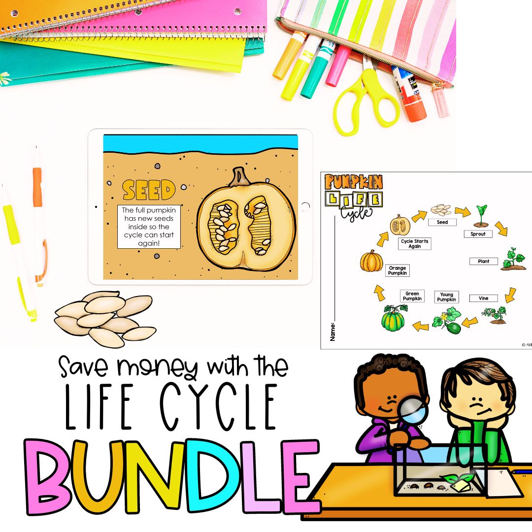 Carrot Life Cycle | Fun Science Activities