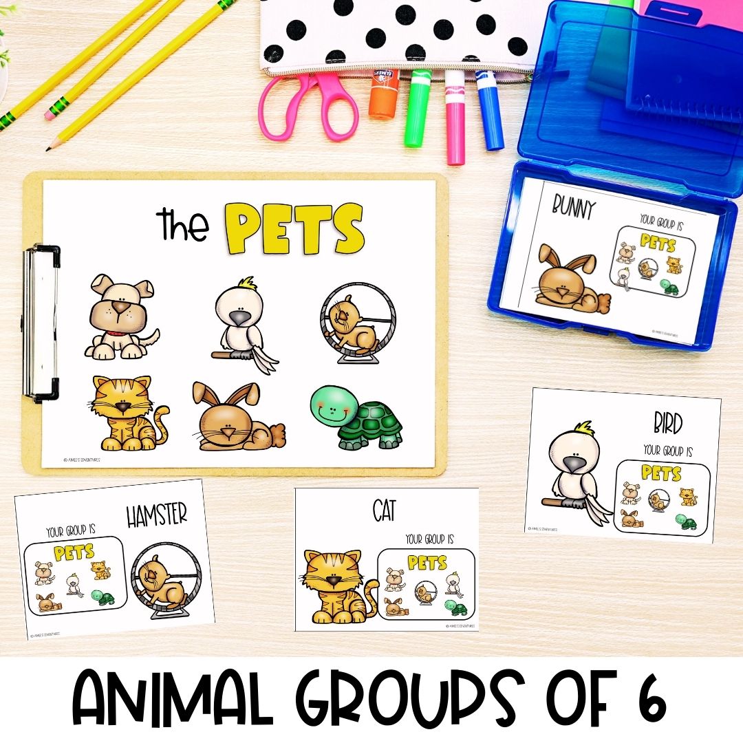 Small Group of 6 Animals Partner Pairing Cards | Classroom Management
