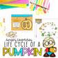 Pumpkin Life Cycle | Fun Science Activities
