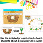 Pumpkin Life Cycle | Fun Science Activities