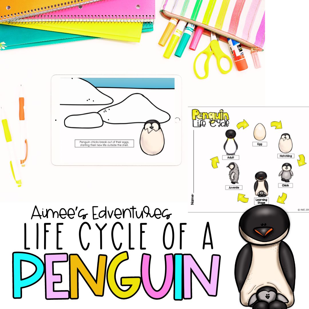 Penguin Life Cycle | Fun Science Activities